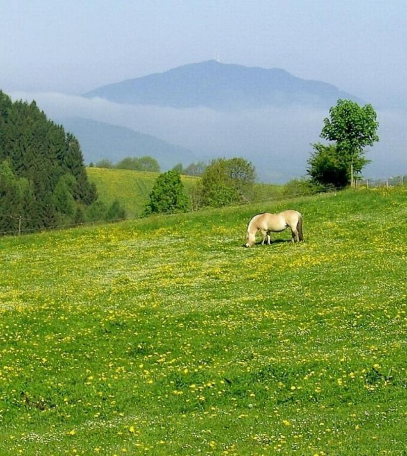Urlaub Auf Dem Haberlhof Villa Lohberg Luaran gambar