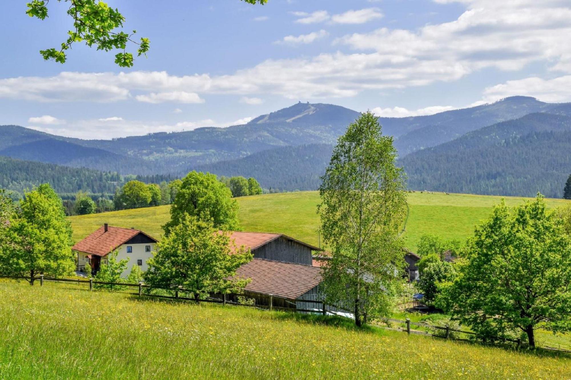 Urlaub Auf Dem Haberlhof Villa Lohberg Luaran gambar